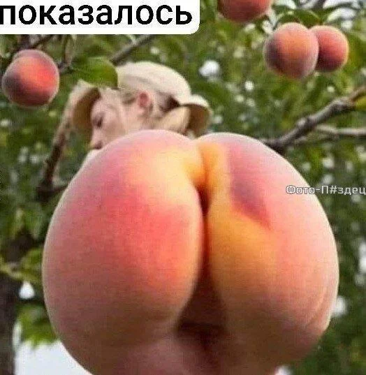 Юмор немного с пошлинкой