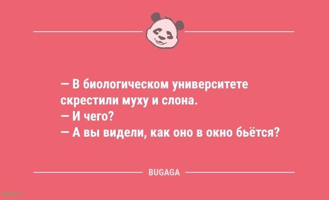 Смешные анекдоты в середине недели: «Существует легенда, что утром…» 