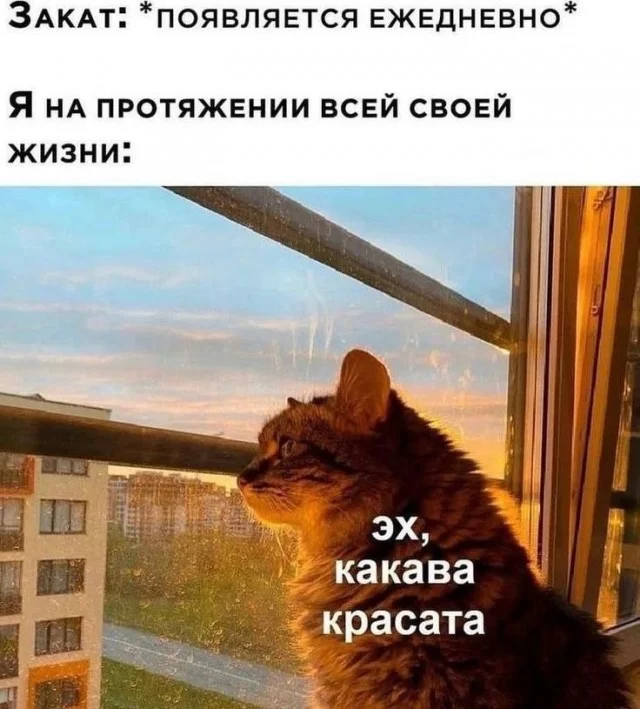 Бесплатные картинки