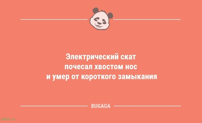 Анекдоты и шутки посмеяться: «Физически я нахожусь в ноябре…» 