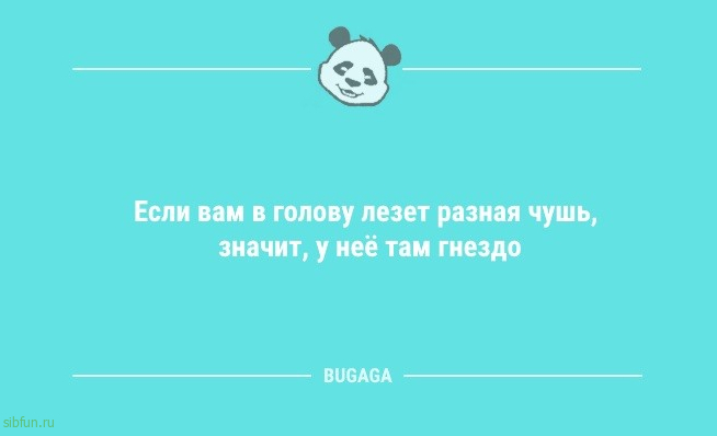 Анекдоты для настроения: «Лето — это время года, когда…» 