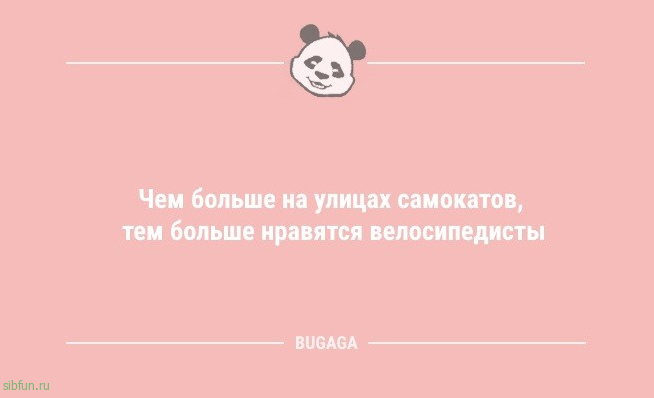 Анекдоты для хорошего настроения: «В конце декабря…» 