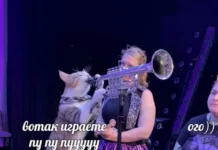 Прикольные картинки в ленту