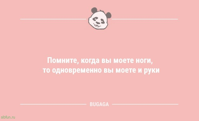 Анекдоты для хорошего настроения: «В конце декабря…» 