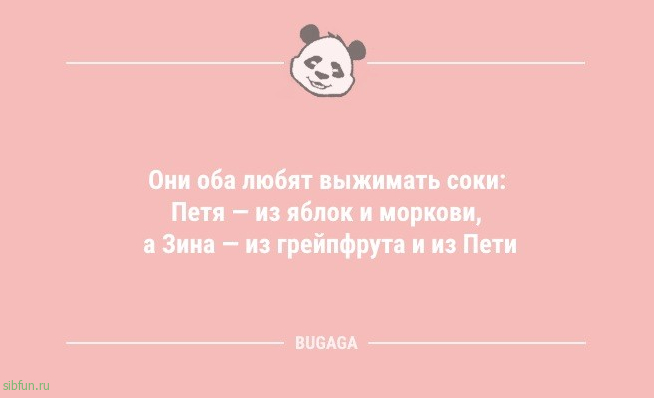 Анекдоты для хорошего настроения: «В конце декабря…» 