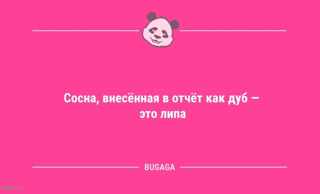 Анекдоты дня: «Любая женщина знает…» 