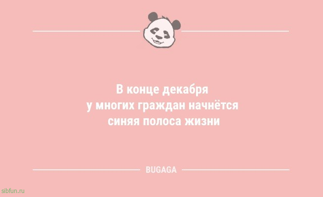 Анекдоты для хорошего настроения: «В конце декабря…» 