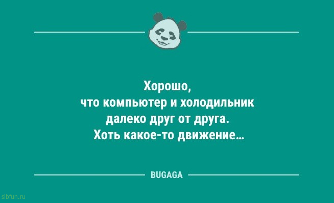 Анекдоты для позитива: «Все мужики на животе кубики себе накачивают…» 