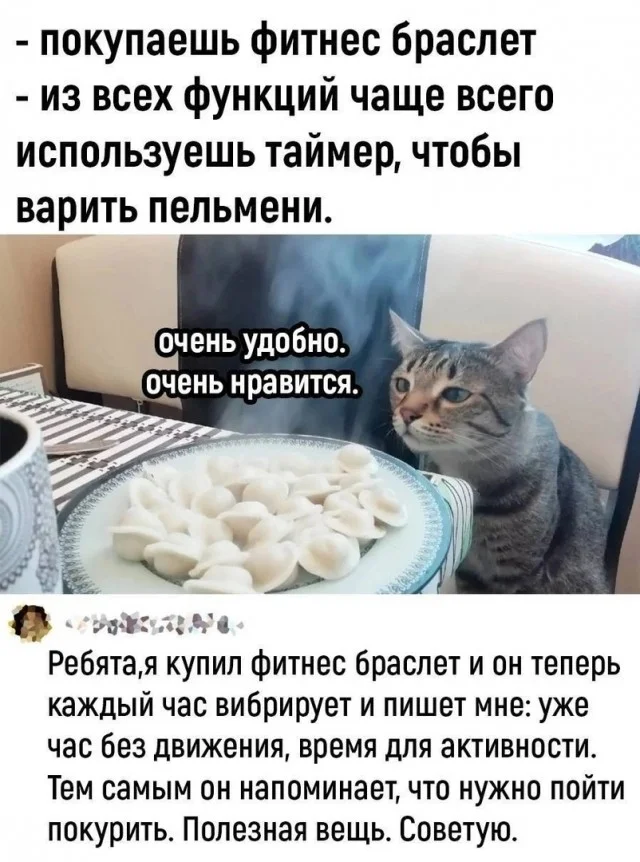 Новые прикольные картинки