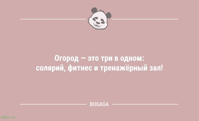 Анекдоты в середине недели: «Лень — единственный двигатель прогресса…» 