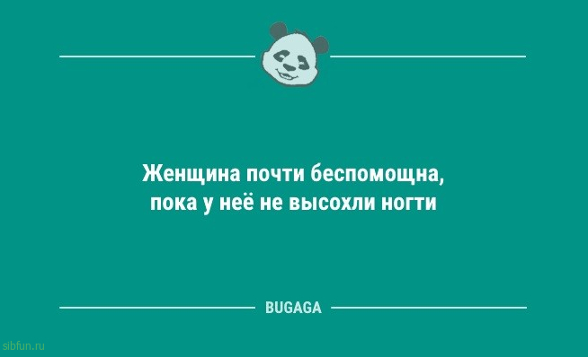 Анекдоты для позитива: «Все мужики на животе кубики себе накачивают…» 