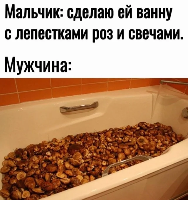 Новые прикольные картинки