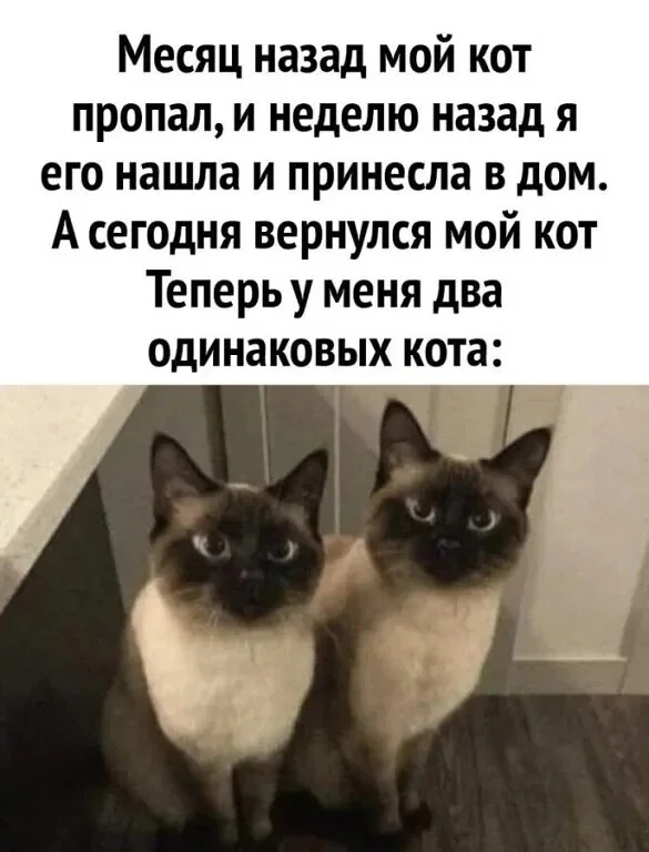 Отличные прикольные картинки