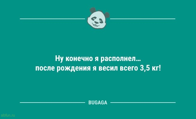 Анекдоты для позитива: «Все мужики на животе кубики себе накачивают…» 