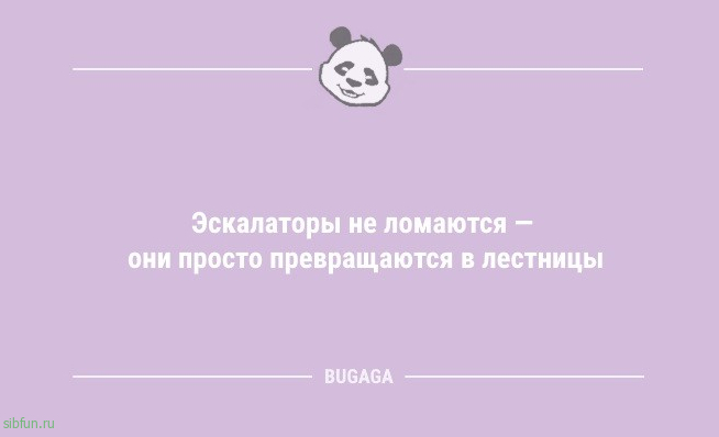 Анекдоты дня: «Сказал жене, что она Афродита…» 