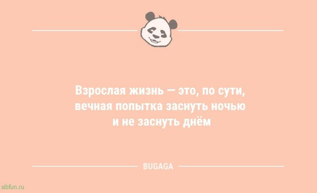 Анекдоты в начале дня: «Взрослая жизнь — это…» 