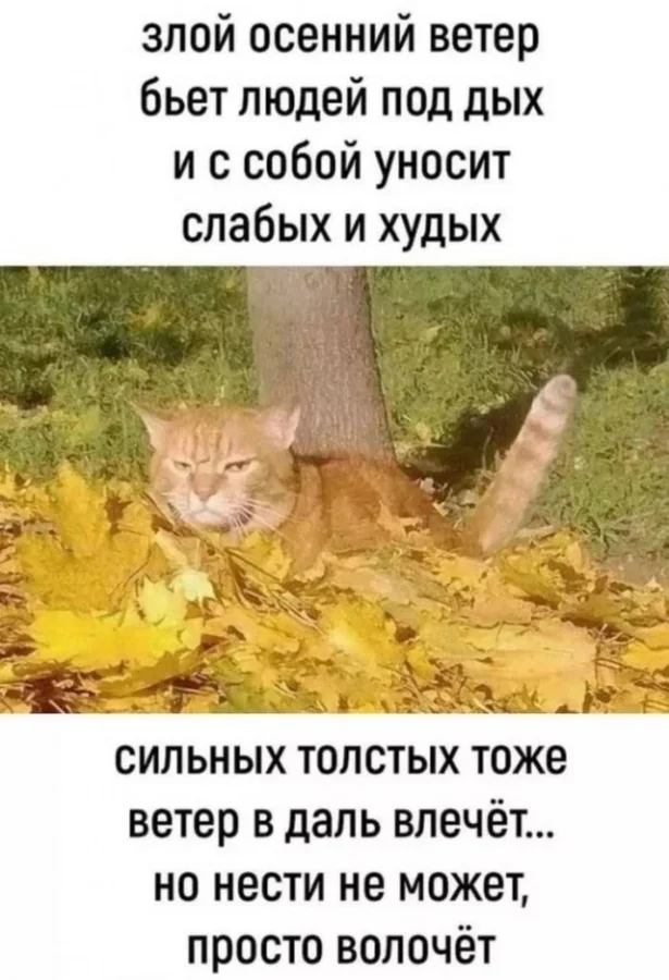 Разнообразные прикольные картинки