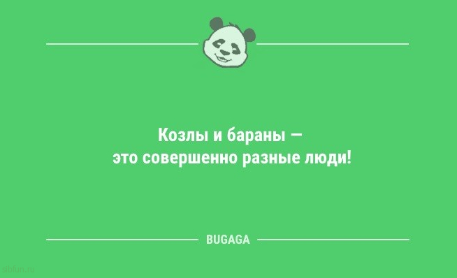 Анекдоты в начале недели: «Мы всегда работаем слаженно!..» 