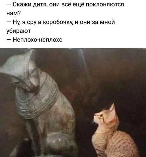 Юмор для хорошего настроения