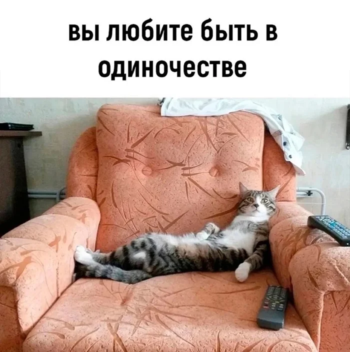 Признаки того, что вы — кот