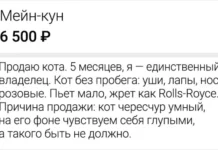 Уморительные объявления с просторов Интернета