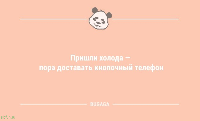 Анекдоты в начале дня: «Взрослая жизнь — это…» 