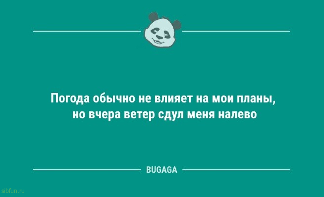 Анекдоты для позитива: «Все мужики на животе кубики себе накачивают…» 