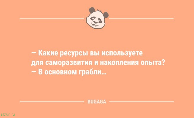 Анекдоты – свежинки: «Главное умение женщины…» 