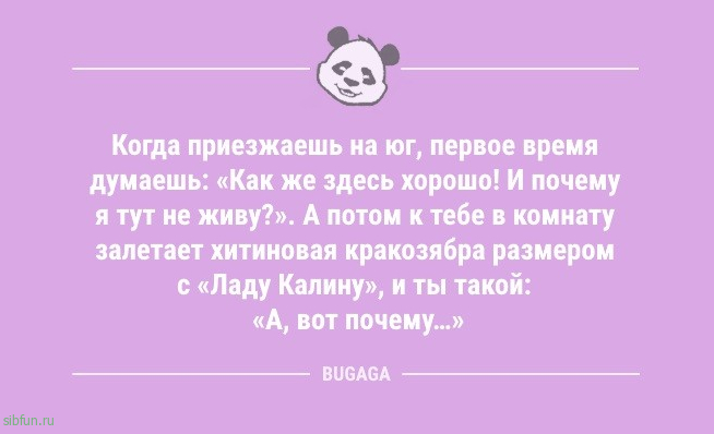 Анекдоты, шутки, статусы: «Наберись терпения…» 