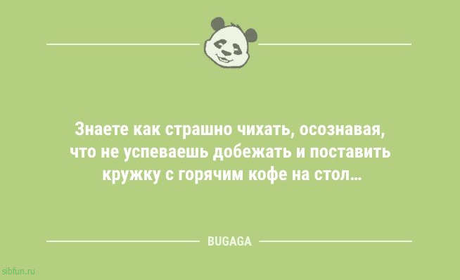 Анекдоты для настроения: «Надеюсь, что в этот раз…» 