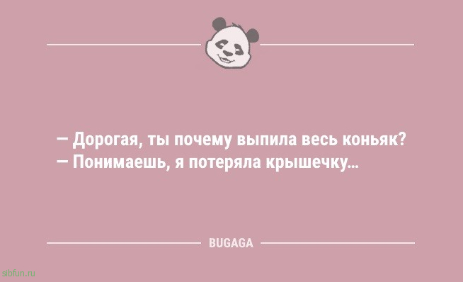 Короткие анекдоты для хорошего настроения: «Хозяйкам на заметку…» 