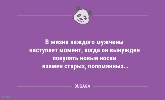 Анекдоты дня: «В нашем доме главный — я!» 