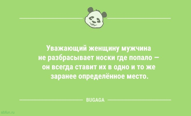 Анекдоты для всех: «Надо завести кота…» 