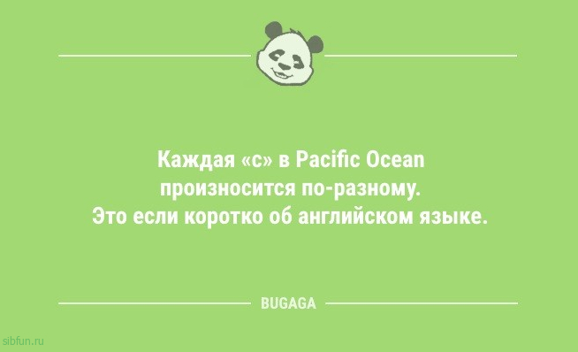 Анекдоты для всех: «Надо завести кота…» 