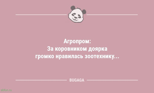 Короткие анекдоты для хорошего настроения: «Хозяйкам на заметку…» 