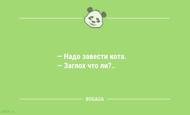 Анекдоты для всех: «Надо завести кота…» 