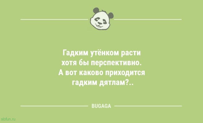 Анекдоты для настроения: «Надеюсь, что в этот раз…» 