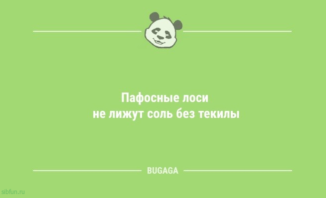 Анекдоты для всех: «Надо завести кота…» 