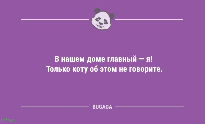 Анекдоты дня: «В нашем доме главный — я!» 