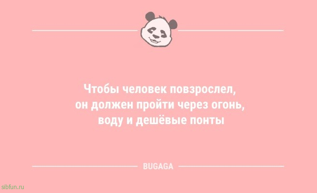 Анекдоты для настроения: «В детстве у меня был плюшевый медвежонок…» 