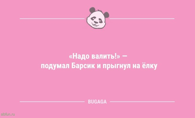 Анекдоты для улыбки: «Утреннюю зарядку пусть делает тот…» 