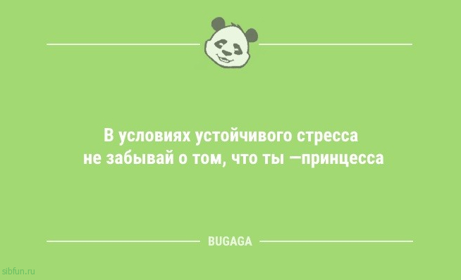 Анекдоты для всех: «Надо завести кота…» 