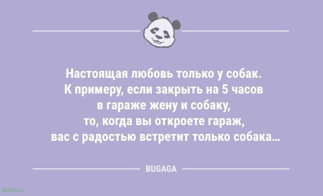 Смешные анекдоты: «В новогодние праздники случаются разные волшебные вещи…» 