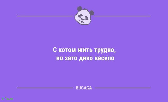 Анекдоты дня: «Когда в доме некому мыть посуду…» 