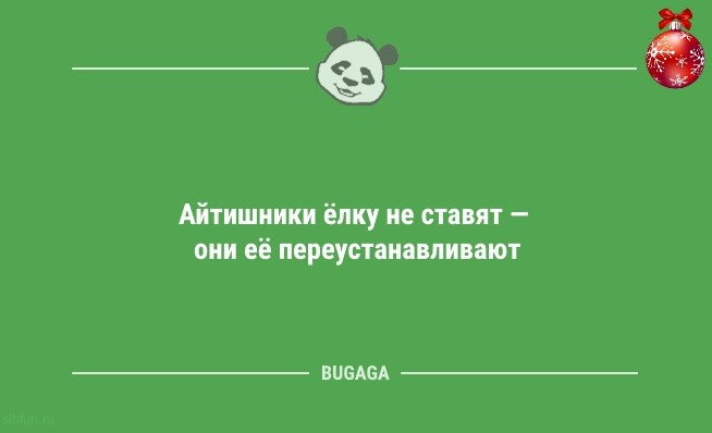 Новогодние анекдоты: «Наряди коту свою ёлку…» 