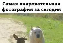 Ну смешно же?!