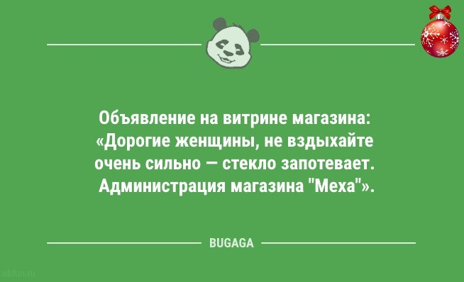 Новогодние анекдоты: «Наряди коту свою ёлку…» 