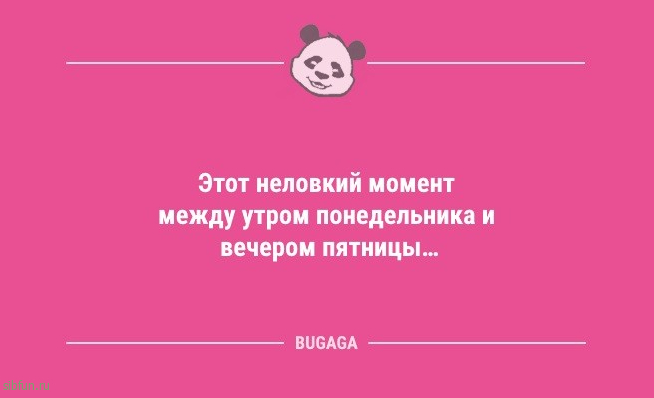 Пятничные анекдоты: «Никогда не ловите снежинки ртом…» 