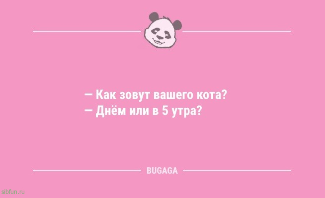 Анекдоты для улыбки: «Утреннюю зарядку пусть делает тот…» 