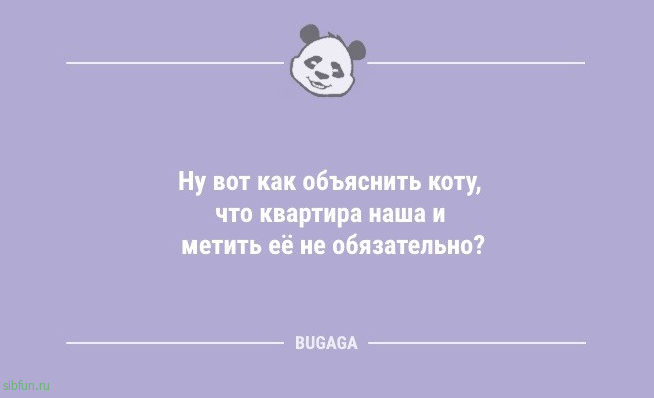 Смешные анекдоты: «В новогодние праздники случаются разные волшебные вещи…» 